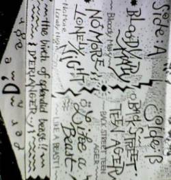 The Birth of Splendid Beast